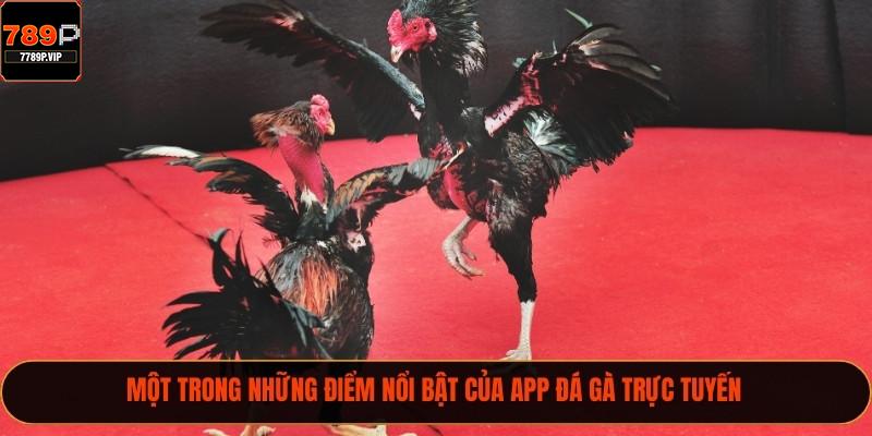 App Đá Gà Trực Tuyến - Đam Mê Gà Đá Năm 2025 1 Một trong những điểm nổi bật của app đá gà trực tuyến