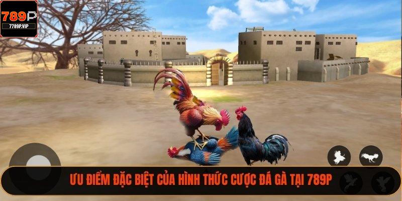 Ưu điểm đặc biệt của hình thức cược đá gà tại 789P