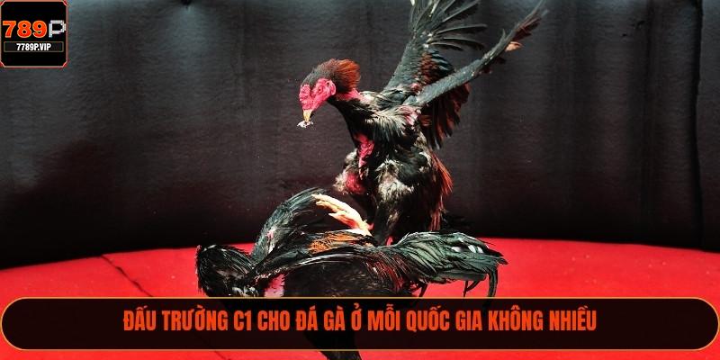 Trực Tiếp Đá Gà C1 Hôm Nay Hấp Dẫn Cho Người Chơi 2025 1 Đấu trường C1 cho đá gà ở mỗi quốc gia không nhiều
